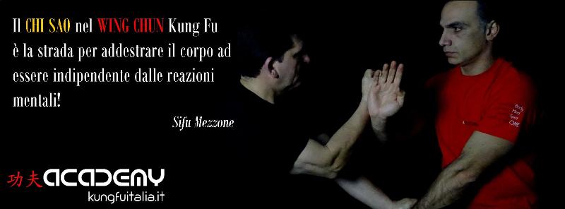 Kung Fu Academy Caserta di Sifu Salvatore Mezzone Accademia di Wing Chun e Tai Chi Quan (1)